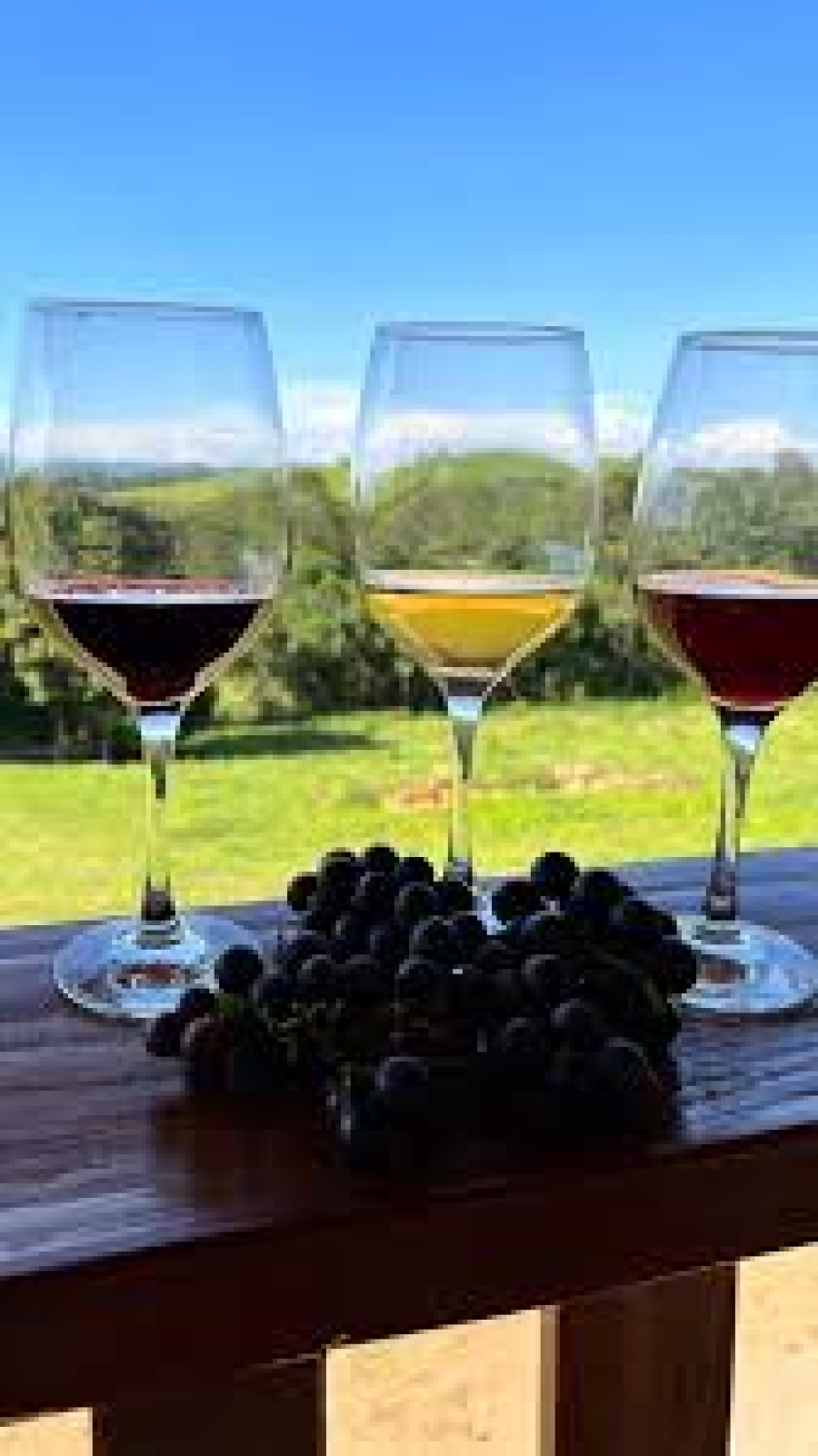 Vinícola Família Fiorini